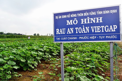 nông sản VietGap